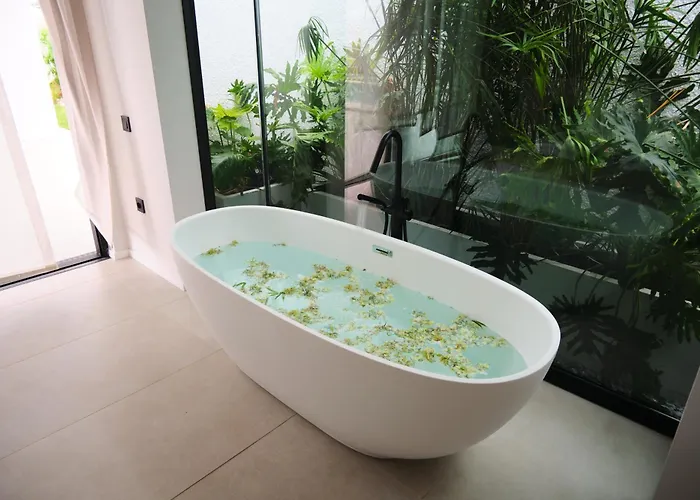 Ashta / Zen فيلة فتحية