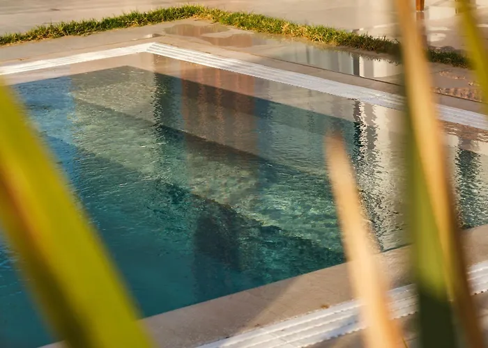 Ashta / Zen فيلة