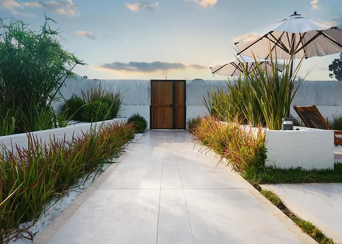 Ashta / Zen فيلة *