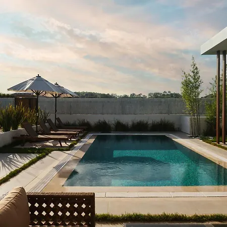 Ashta / Zen フェティエ