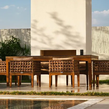 Ashta / Zen * フェティエ